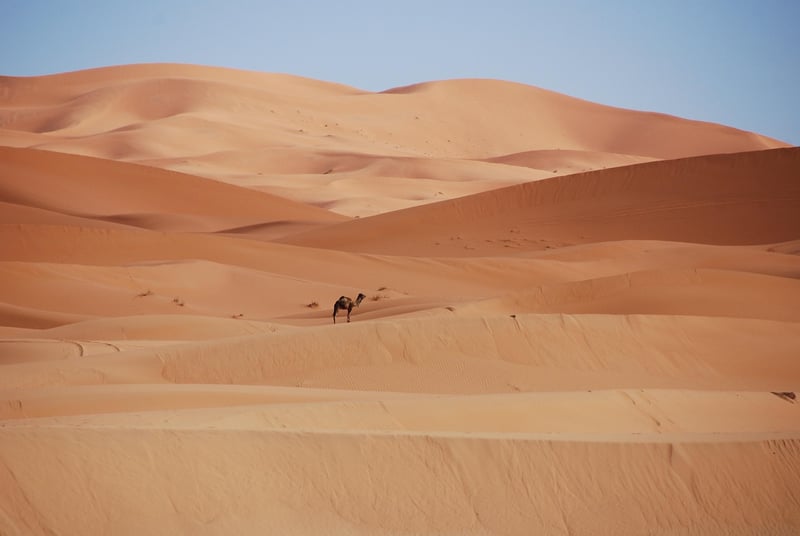 Untouched Wilderness